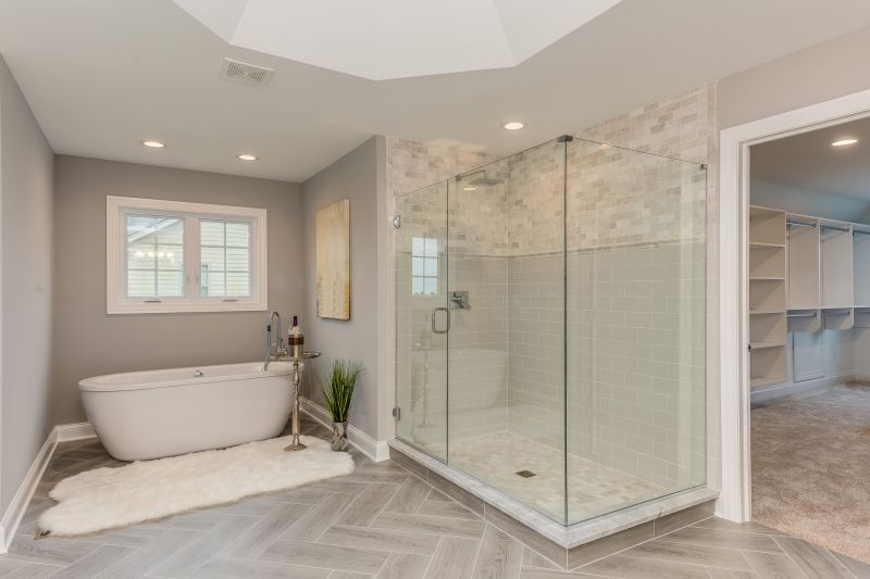 Stylish Tub to Shower Conversion